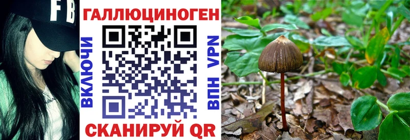 Псилоцибиновые грибы Cubensis  Купить закладки  Гаджиево 