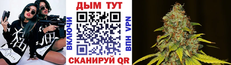 Купить Гаджиево Бошки Шишки конопля